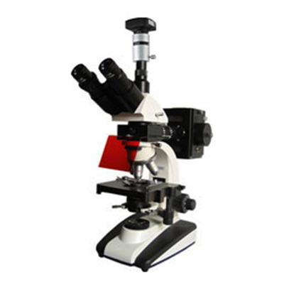 UIS荧光显微镜BM-20AYD（电脑、落射）